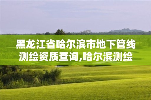 黑龍江省哈爾濱市地下管線測繪資質查詢,哈爾濱測繪地理信息局招聘公告。