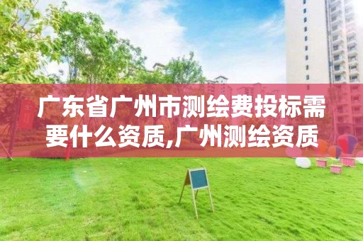 廣東省廣州市測繪費投標需要什么資質,廣州測繪資質代辦。