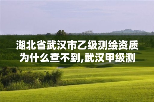 湖北省武漢市乙級測繪資質為什么查不到,武漢甲級測繪資質名錄。