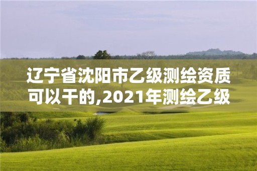 遼寧省沈陽(yáng)市乙級(jí)測(cè)繪資質(zhì)可以干的,2021年測(cè)繪乙級(jí)資質(zhì)辦公申報(bào)條件。