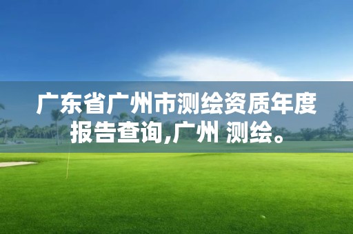 廣東省廣州市測繪資質年度報告查詢,廣州 測繪。