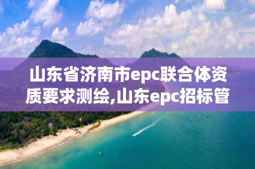 山東省濟(jì)南市epc聯(lián)合體資質(zhì)要求測(cè)繪,山東epc招標(biāo)管理辦法。