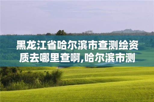 黑龍江省哈爾濱市查測繪資質(zhì)去哪里查啊,哈爾濱市測繪公司。