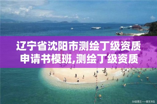 遼寧省沈陽市測繪丁級資質申請書模班,測繪丁級資質申報條件。