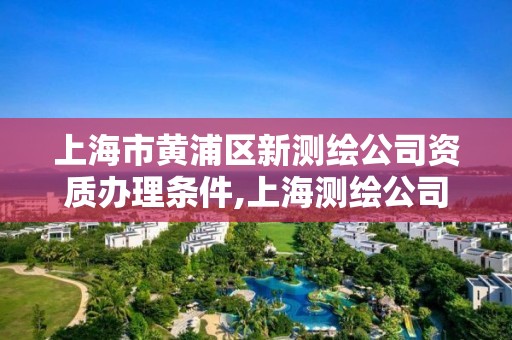 上海市黃浦區新測繪公司資質辦理條件,上海測繪公司招聘。