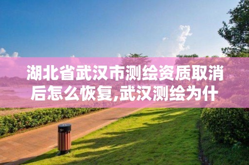 湖北省武漢市測繪資質(zhì)取消后怎么恢復(fù),武漢測繪為什么厲害。