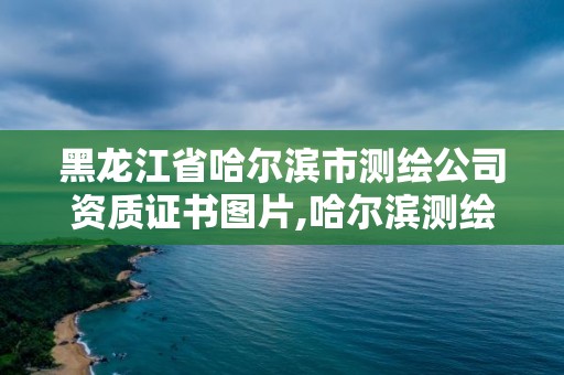 黑龍江省哈爾濱市測(cè)繪公司資質(zhì)證書圖片,哈爾濱測(cè)繪公司有哪些。