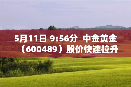 5月11日 9:56分  中金黃金（600489）股價快速拉升