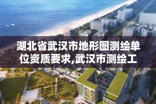 湖北省武漢市地形圖測繪單位資質要求,武漢市測繪工程技術規定。