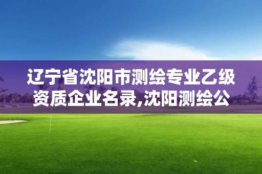 遼寧省沈陽市測繪專業(yè)乙級資質(zhì)企業(yè)名錄,沈陽測繪公司招聘信息最新招聘。