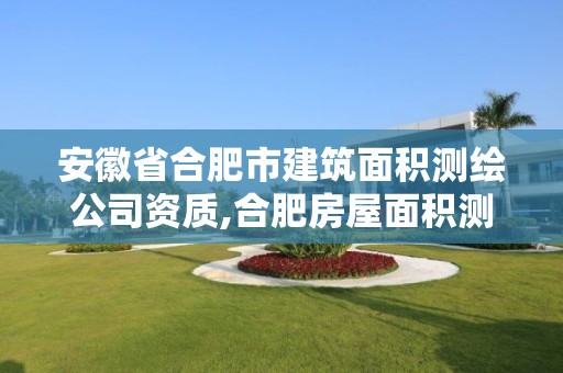 安徽省合肥市建筑面積測繪公司資質(zhì),合肥房屋面積測繪公司。