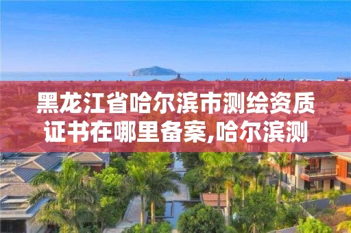 黑龍江省哈爾濱市測(cè)繪資質(zhì)證書(shū)在哪里備案,哈爾濱測(cè)繪局是干什么的。