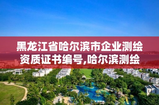 黑龍江省哈爾濱市企業測繪資質證書編號,哈爾濱測繪地理信息局。