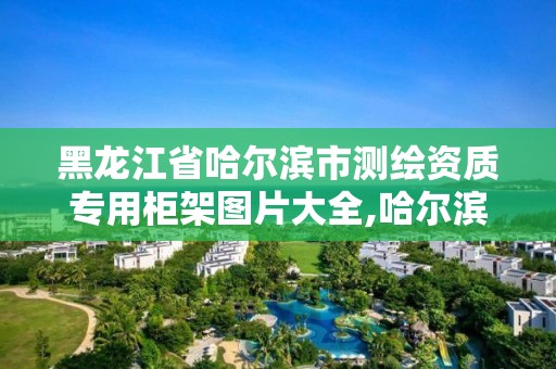 黑龍江省哈爾濱市測(cè)繪資質(zhì)專用柜架圖片大全,哈爾濱測(cè)繪公司有哪些。