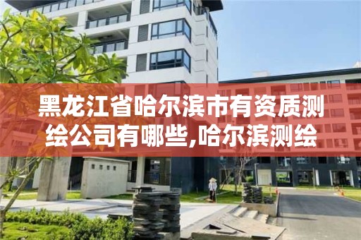 黑龍江省哈爾濱市有資質(zhì)測繪公司有哪些,哈爾濱測繪專科學(xué)校。