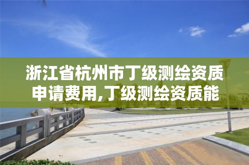 浙江省杭州市丁級測繪資質申請費用,丁級測繪資質能承擔的業務。