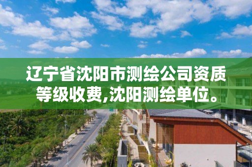 遼寧省沈陽市測繪公司資質等級收費,沈陽測繪單位。