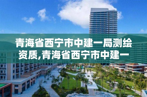 青海省西寧市中建一局測繪資質,青海省西寧市中建一局測繪資質公示。