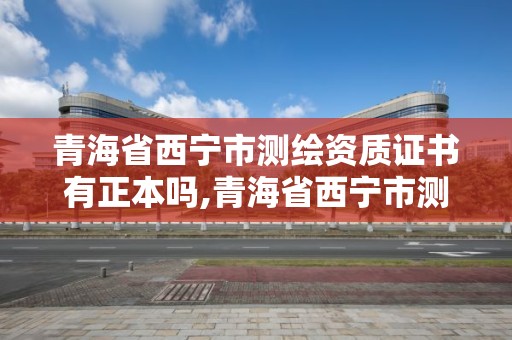 青海省西寧市測繪資質證書有正本嗎,青海省西寧市測繪資質證書有正本嗎多少錢。