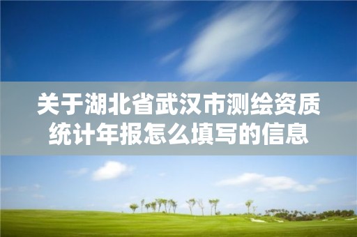 關于湖北省武漢市測繪資質統計年報怎么填寫的信息