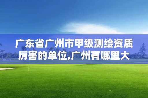 廣東省廣州市甲級測繪資質厲害的單位,廣州有哪里大的測繪公司。