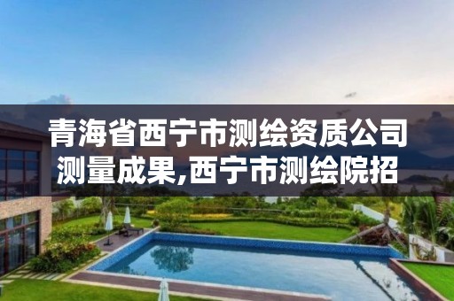 青海省西寧市測繪資質公司測量成果,西寧市測繪院招聘公示。