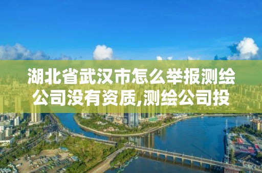 湖北省武漢市怎么舉報測繪公司沒有資質(zhì),測繪公司投訴管理制度。