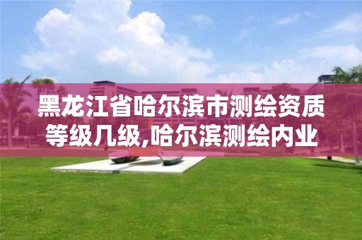 黑龍江省哈爾濱市測繪資質等級幾級,哈爾濱測繪內業招聘信息。