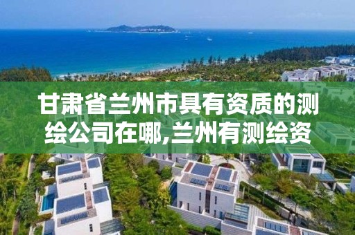 甘肅省蘭州市具有資質的測繪公司在哪,蘭州有測繪資質的公司有。