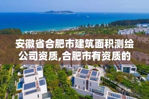 安徽省合肥市建筑面積測(cè)繪公司資質(zhì),合肥市有資質(zhì)的測(cè)繪公司。