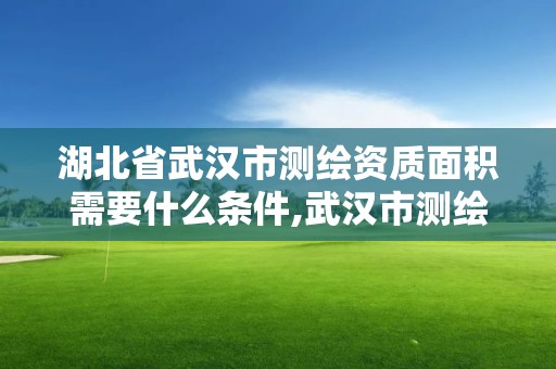 湖北省武漢市測(cè)繪資質(zhì)面積需要什么條件,武漢市測(cè)繪院怎么樣。