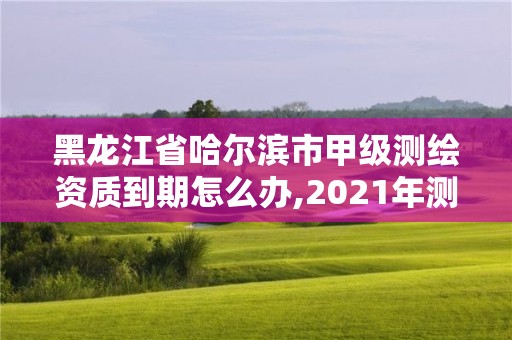 黑龍江省哈爾濱市甲級測繪資質(zhì)到期怎么辦,2021年測繪甲級資質(zhì)申報條件。