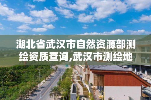 湖北省武漢市自然資源部測繪資質查詢,武漢市測繪地理信息局。