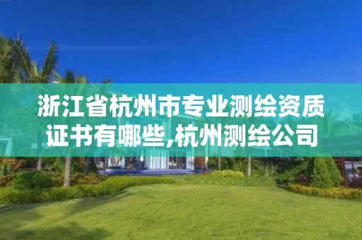 浙江省杭州市專業測繪資質證書有哪些,杭州測繪公司有哪幾家。