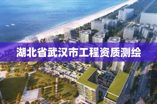 湖北省武漢市工程資質測繪