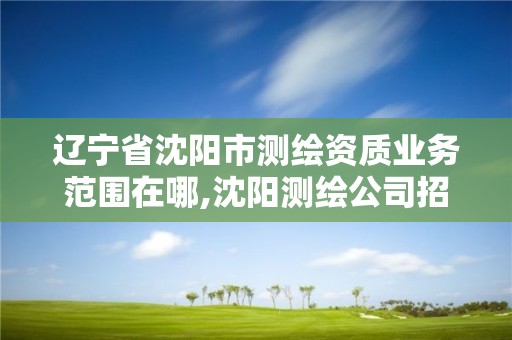 遼寧省沈陽市測繪資質業務范圍在哪,沈陽測繪公司招聘信息最新招聘。