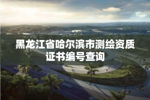 黑龍江省哈爾濱市測(cè)繪資質(zhì)證書編號(hào)查詢