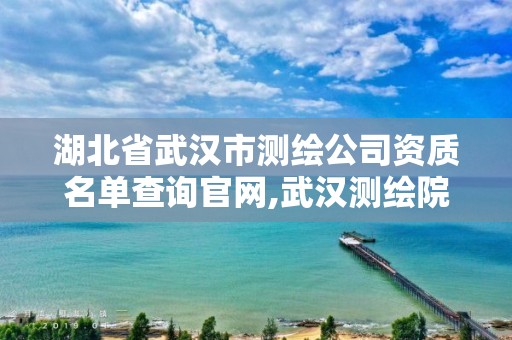 湖北省武漢市測繪公司資質名單查詢官網,武漢測繪院地址。