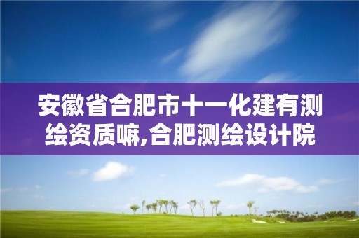 安徽省合肥市十一化建有測繪資質(zhì)嘛,合肥測繪設計院。