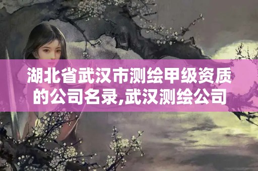 湖北省武漢市測繪甲級資質的公司名錄,武漢測繪公司招聘。