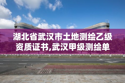 湖北省武漢市土地測繪乙級資質證書,武漢甲級測繪單位。