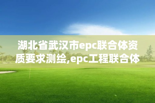 湖北省武漢市epc聯合體資質要求測繪,epc工程聯合體。