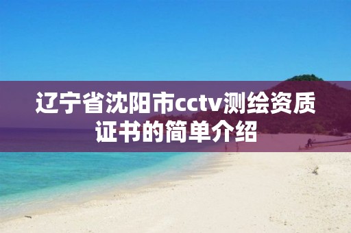 遼寧省沈陽市cctv測繪資質證書的簡單介紹