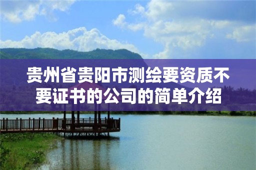 貴州省貴陽市測繪要資質不要證書的公司的簡單介紹