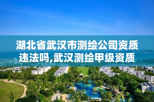 湖北省武漢市測繪公司資質違法嗎,武漢測繪甲級資質公司。