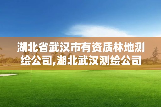 湖北省武漢市有資質林地測繪公司,湖北武漢測繪公司排行榜。