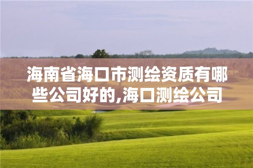 海南省海口市測繪資質有哪些公司好的,?？跍y繪公司排行榜。