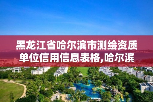 黑龍江省哈爾濱市測繪資質(zhì)單位信用信息表格,哈爾濱測繪局招聘信息。