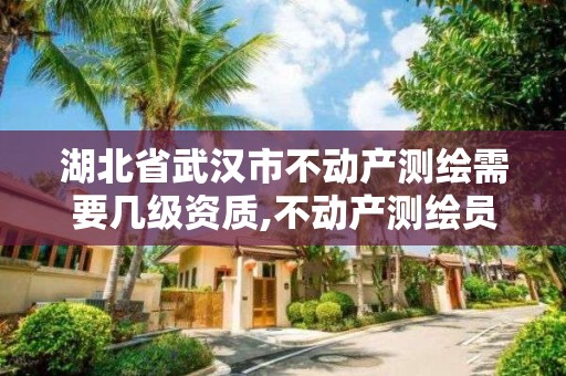 湖北省武漢市不動產(chǎn)測繪需要幾級資質(zhì),不動產(chǎn)測繪員工資多少。