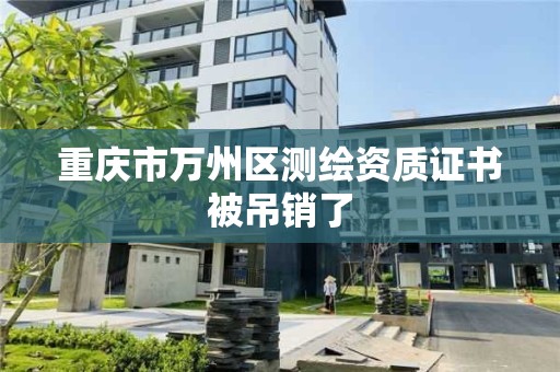 重慶市萬州區測繪資質證書被吊銷了